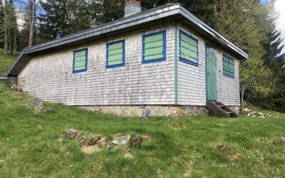 Die Hütte – La cabane de Heidegger à Todtnauberg
