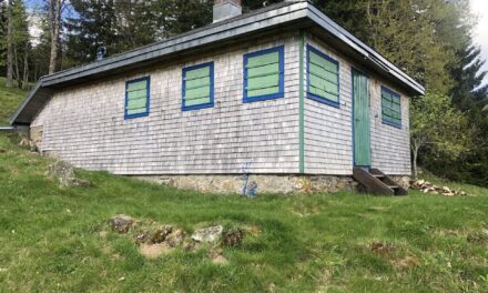 Die Hütte – La cabane de Heidegger à Todtnauberg