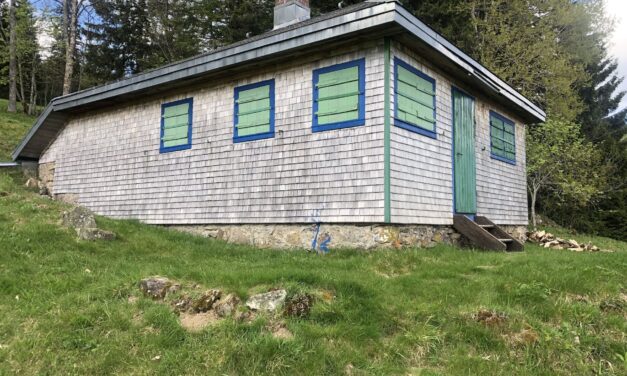 Die Hütte – La cabane de Heidegger à Todtnauberg