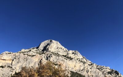 Au plus près de Cézanne