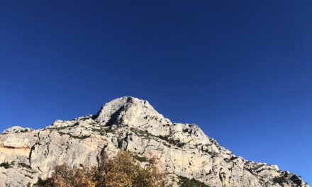 Au plus près de Cézanne