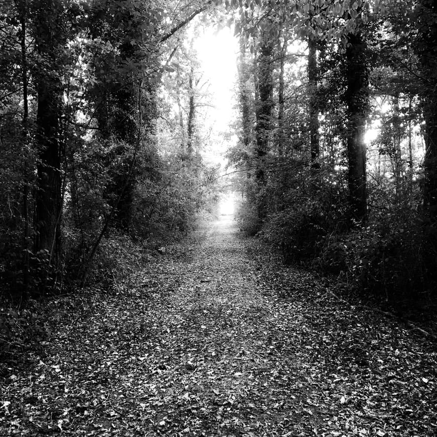 Le Chemin (La Gendronnière) Le Chemin (La Gendronnière)