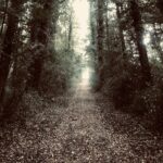 Mon Heimat chez les Grecs (1: Le Chemin)