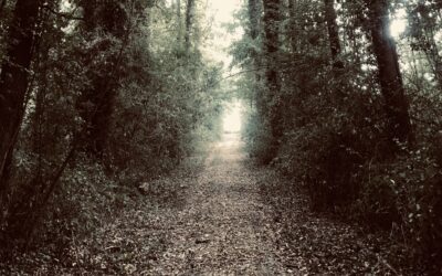 Mon Heimat chez les Grecs (1: Le Chemin)