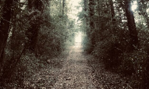 Mon Heimat chez les Grecs (1: Le Chemin)