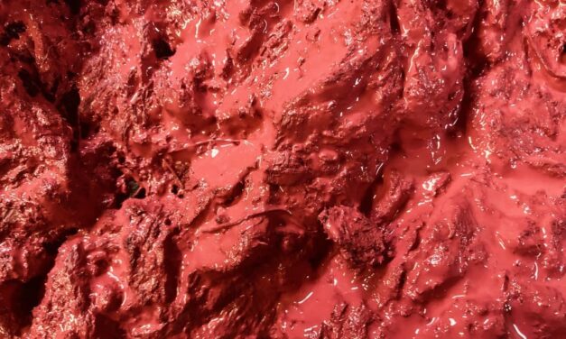 Bouse rouge grenadine