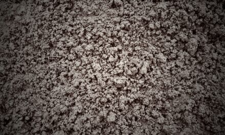 Mon Heimat chez les Grecs (3: La Terre)