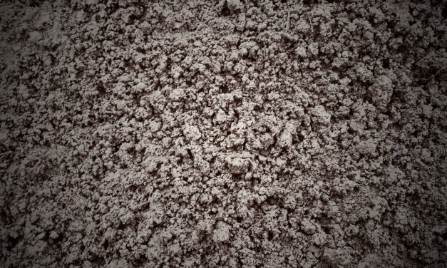 Mon Heimat chez les Grecs (3: La Terre)