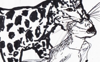 Poème inspiré par Piétaille et son album « Le Calvaire des singes »