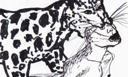 Poème inspiré par Piétaille et son album « Le Calvaire des singes »