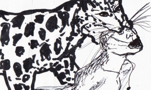 Poème inspiré par Piétaille et son album « Le Calvaire des singes »